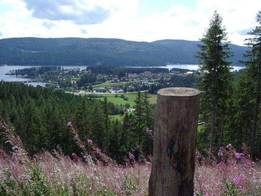 Chez Lisa - Familienurlaub Mit Pool & Sauna + Hsc Schluchsee Exterior foto